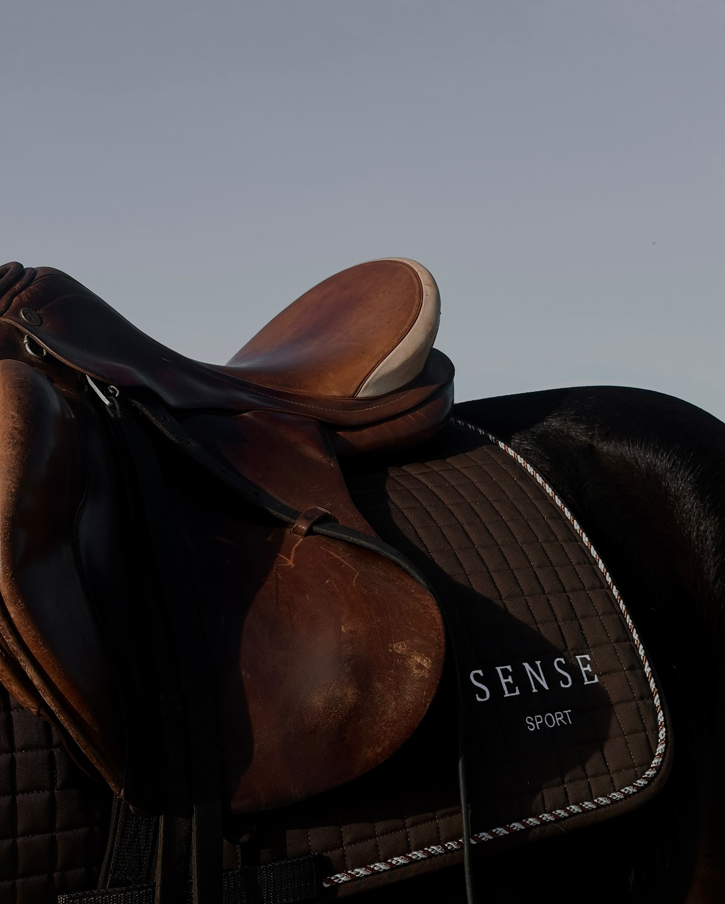 Sense Essential Equestrian Set - Deep Brown