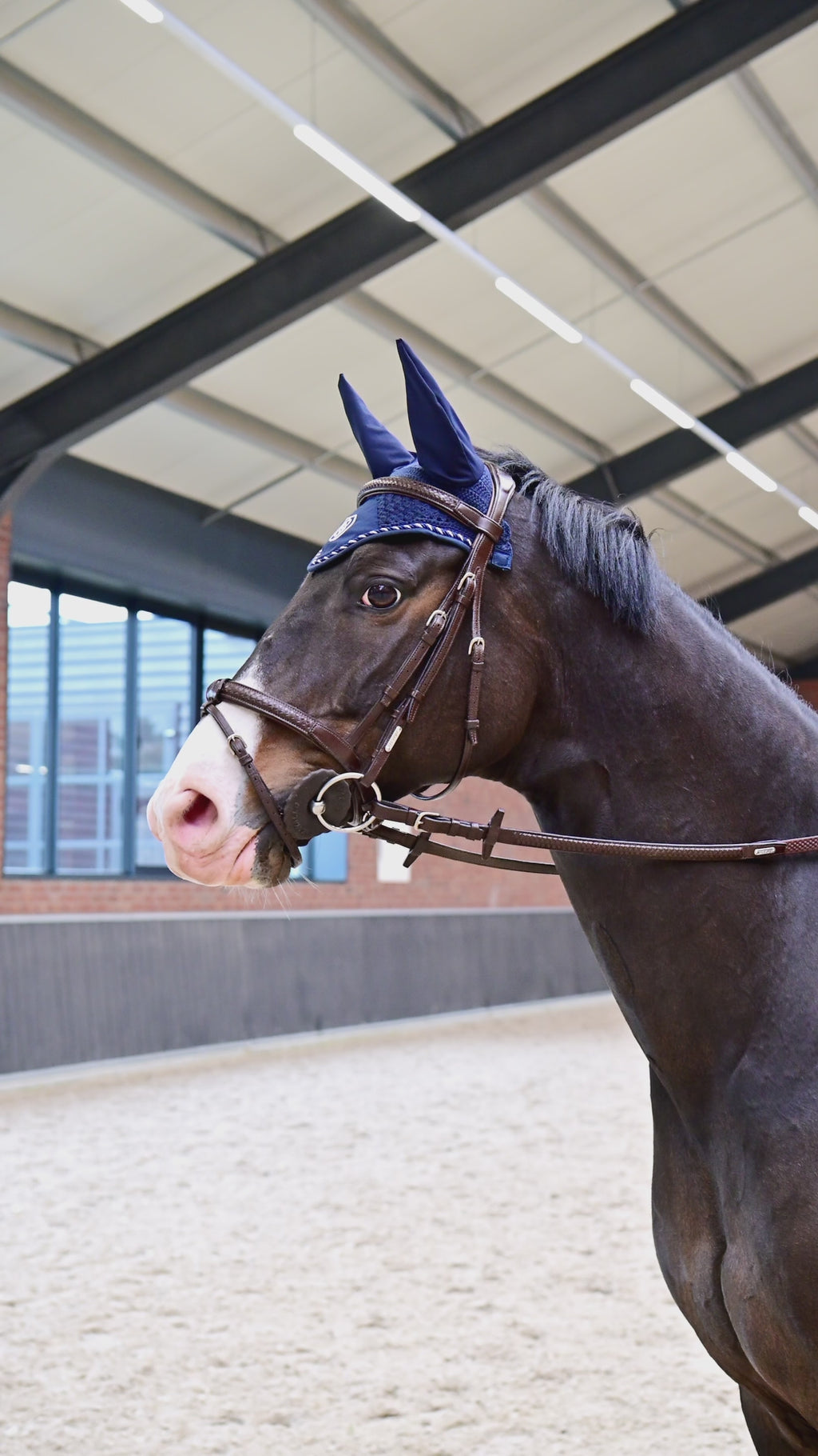 Sense Essential Ear Net Navy Blue